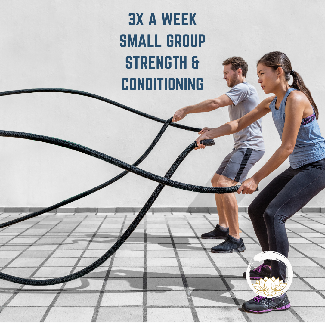 3x a week Small Group Strength & Conditioning